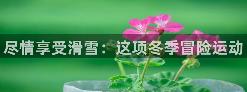 星欧娱乐伐官网注册