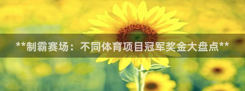 星欧娱乐的创始人背景故事介绍