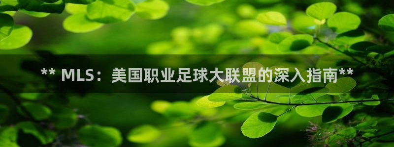 星欧娱乐法711.112怎么扣钱