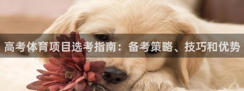 星欧娱乐属于什么档次的公司名称