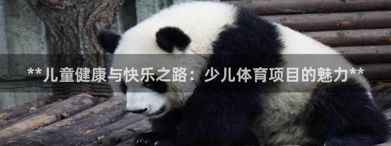 星欧娱乐扣款流程详解图