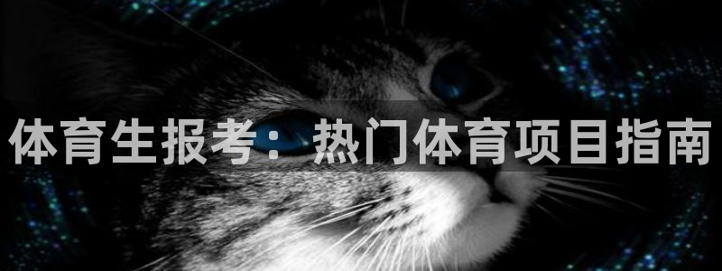 星欧娱乐扣款流程详解图高清