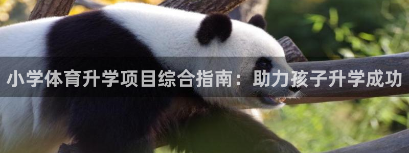 星欧娱乐是正规平台吗知乎推荐