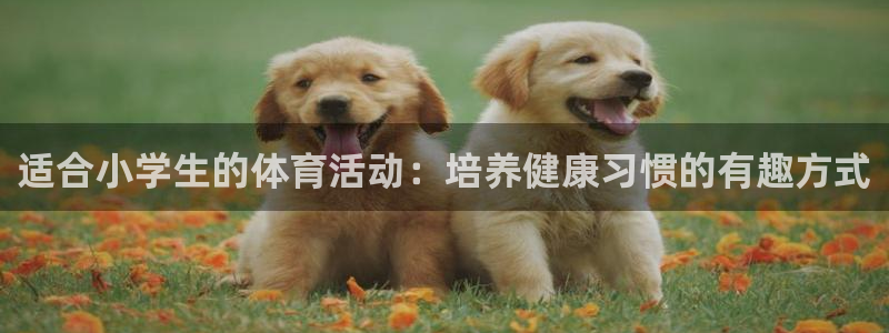 星欧娱乐的创始人背景故事简介