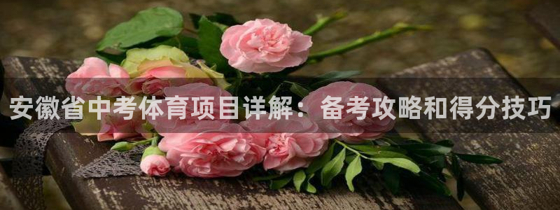星游娱乐下载地址