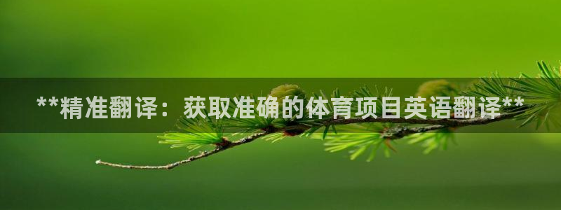 星娱乐是谁的公司