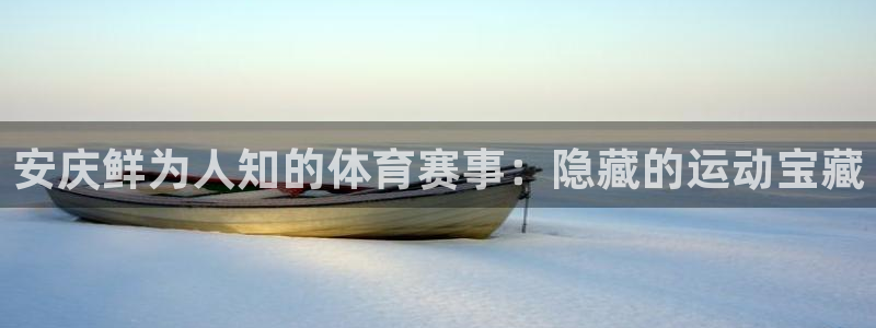 星娱乐文化传媒有限公司