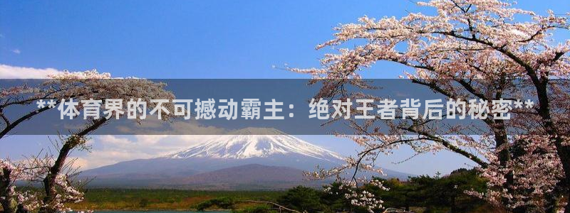 星欧娱乐扣款流程详解
