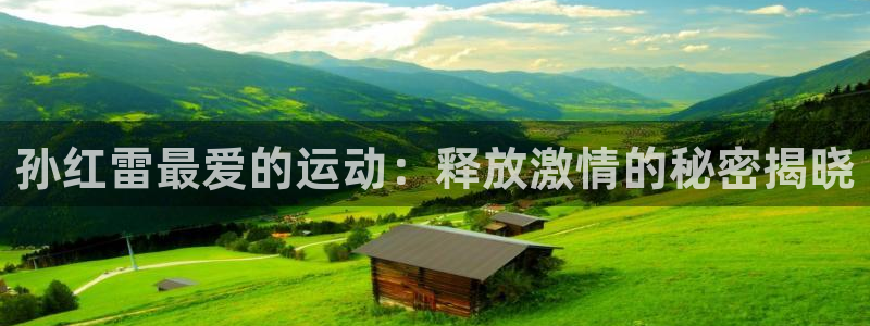 星欧娱乐属于什么档次