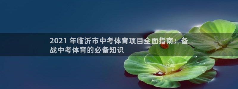 江苏星奥娱乐有限公司怎么样