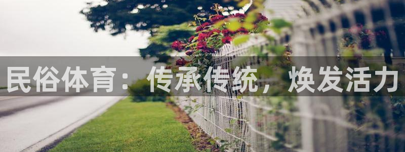 星欧娱乐信存手机版下载