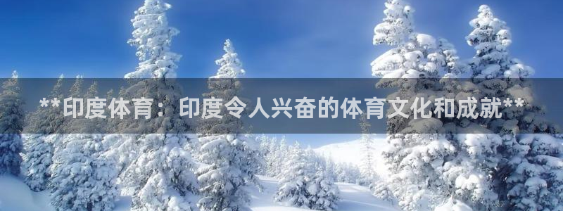 星欧娱乐属于什么档次的公司啊