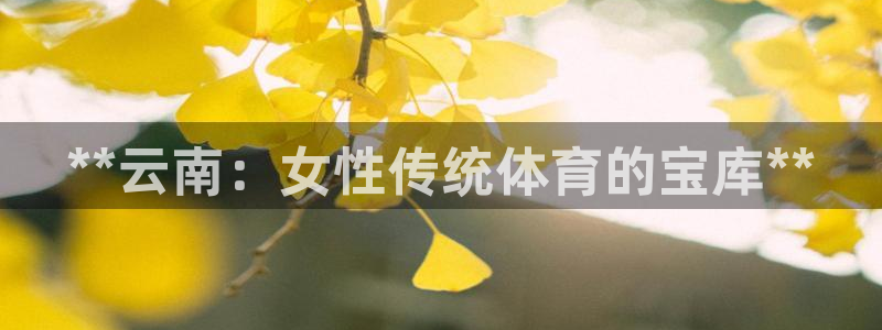 星欧娱乐挂机赚钱是真的吗