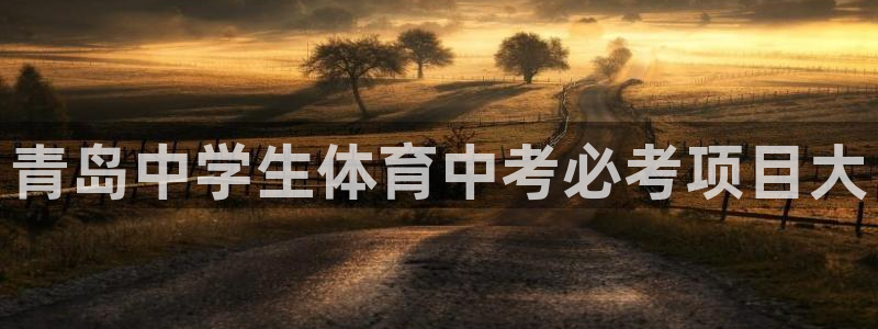 星欧娱乐app最新版本更新内容下载