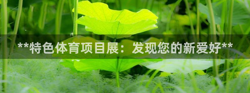 星奥娱乐招聘