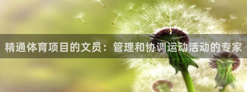 星欧娱乐挂机教程下载