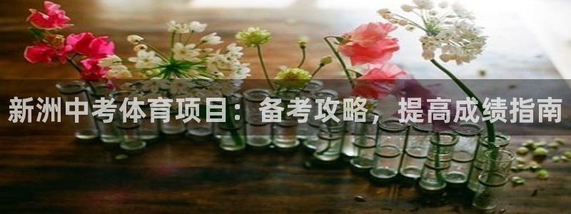 星欧娱乐公司创始人背景故事简介