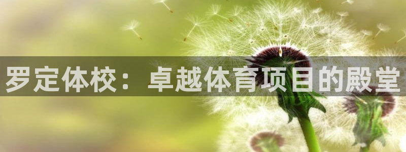 星奥娱乐集团股份有限公司