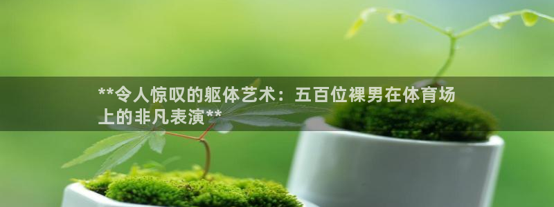 星欧娱乐公司创始人背景故事介绍