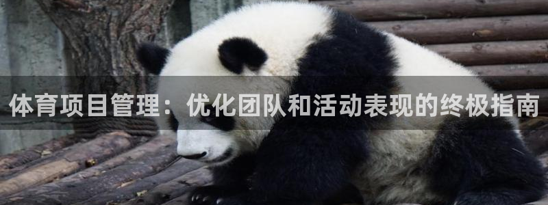 星奥娱乐怎么样