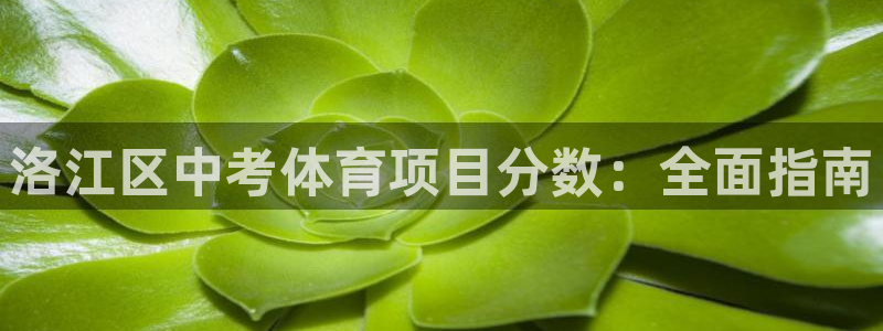 星欧娱乐彩票软件下载