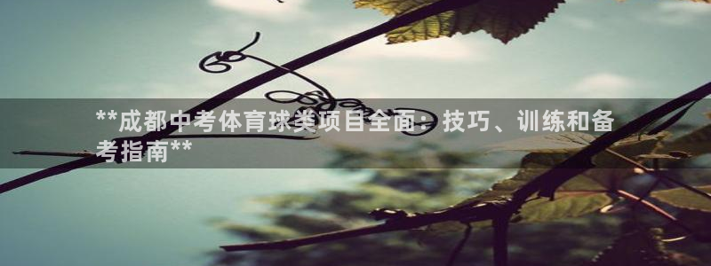 星娱乐包月是干嘛的