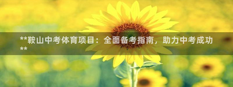 星欧娱乐扣费处理方法