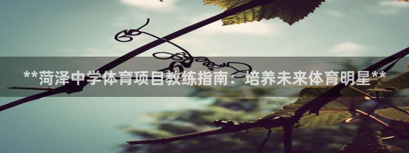 星欧娱乐公司地址