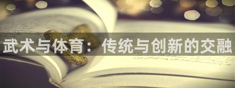 星欧娱乐属于什么档次的软件公司