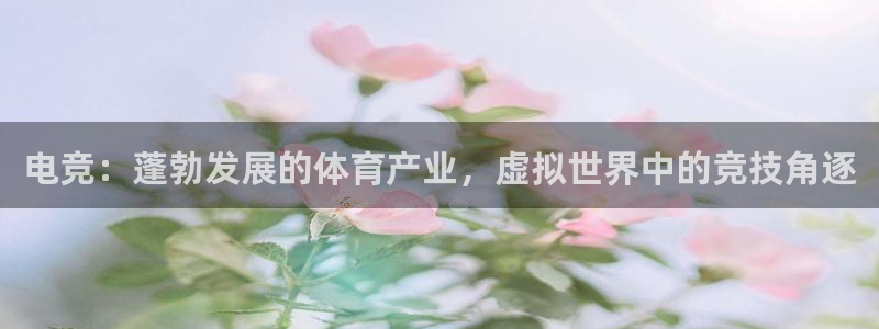 星欧娱乐24小时客服电话