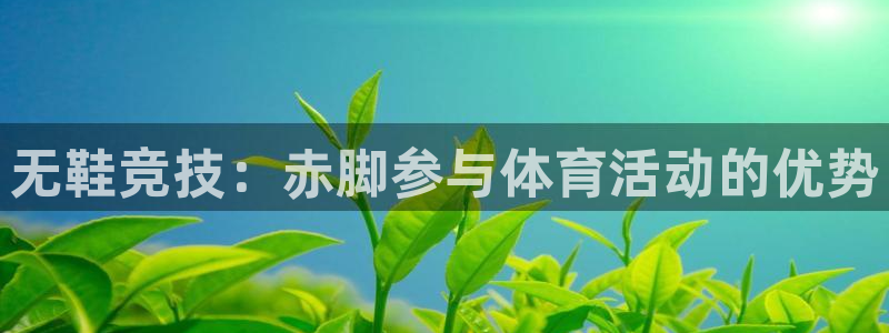 星欧娱乐扣款时间查询方法怎么查不了