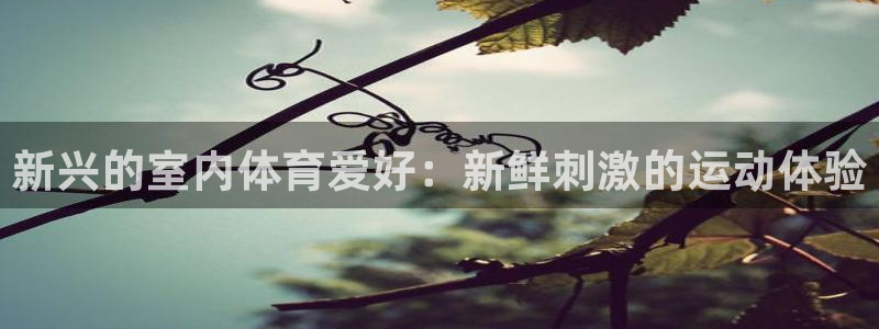 星游娱乐1官网下载