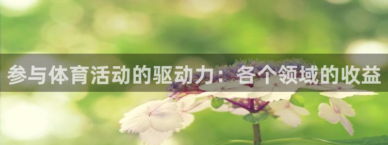 星欧娱乐工711.11是正规的吗