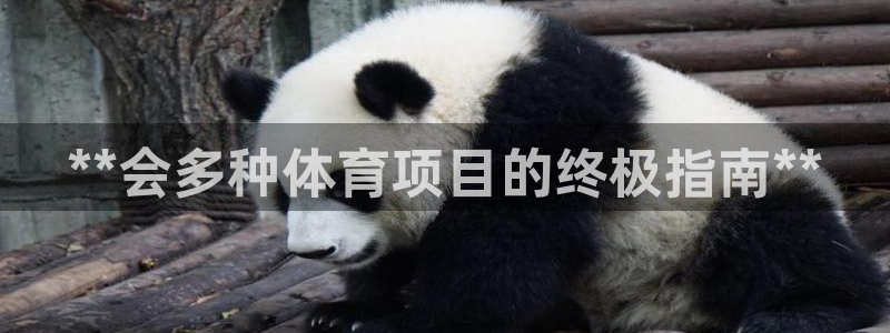 星欧娱乐伐官网注册