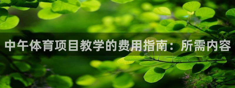 星欧娱乐法711.112怎么扣钱