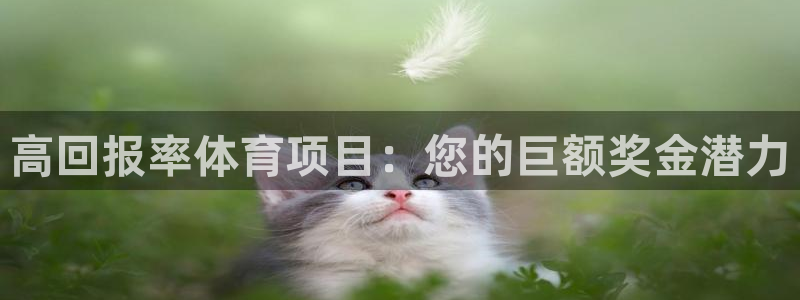 星欧娱乐最建议买的三个游戏