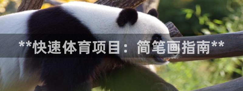 星欧娱乐app最新版本更新内容下载