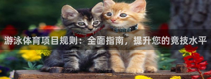 星欧娱乐的创始人背景故事是什么