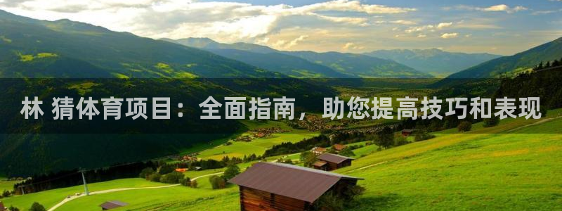 星奥娱乐集团是国企吗