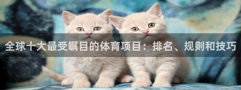 星欧娱乐是正规平台吗安全吗可靠吗
