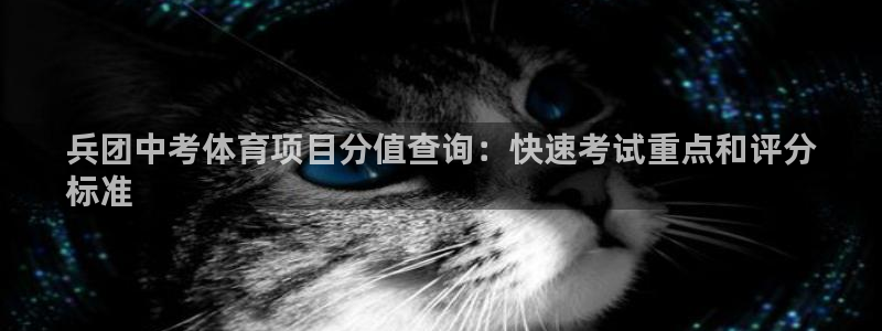 星娱乐文化传媒