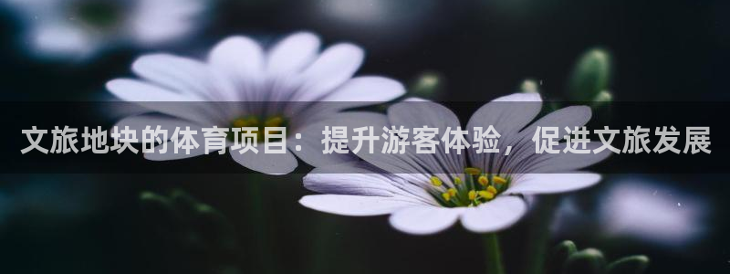 星欧娱乐公司创始人背景故事介绍