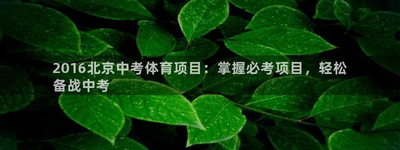 星游娱乐1官网下载